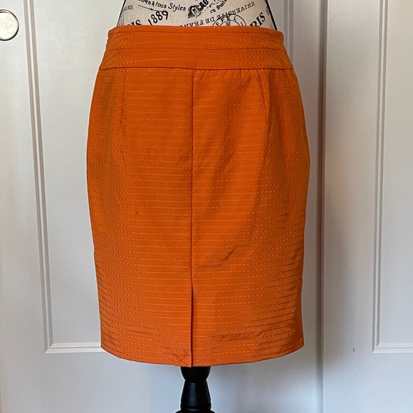 The Limited Orange Skirt - Picture 3 of 11